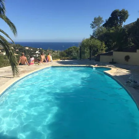 Diane Saint-Peïre-sur-Mer